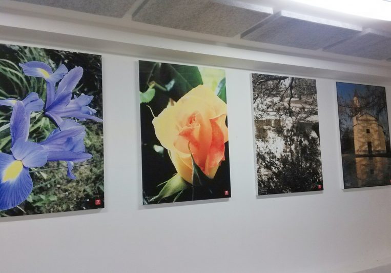 SCUOLE MEDIE BRICHERASIO SCUOLE MEDIE BRICHERASIO